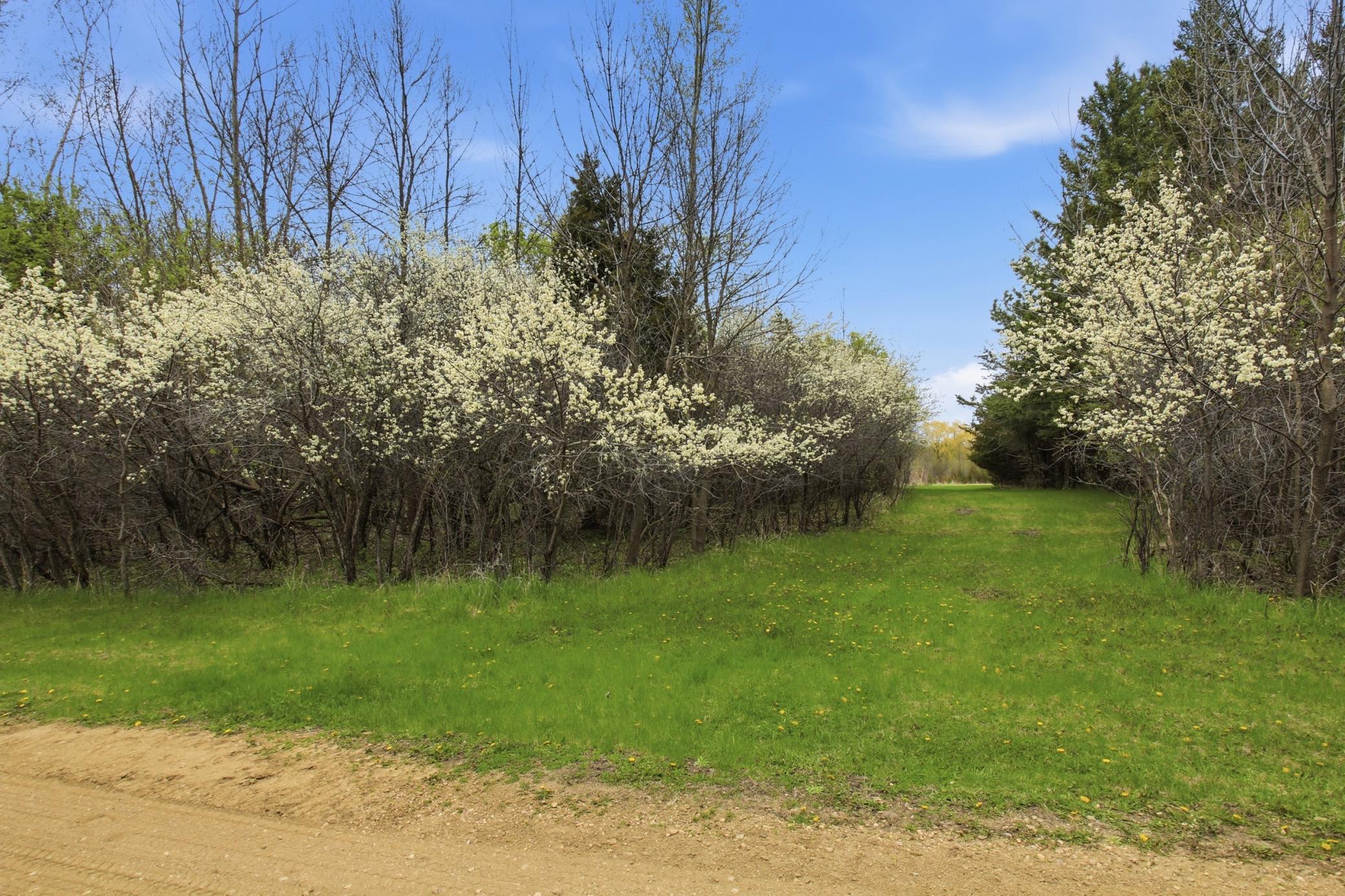 View From Driveway to Property