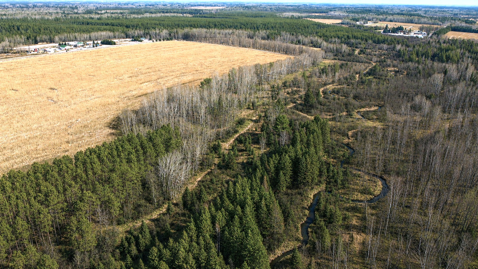 Aerial