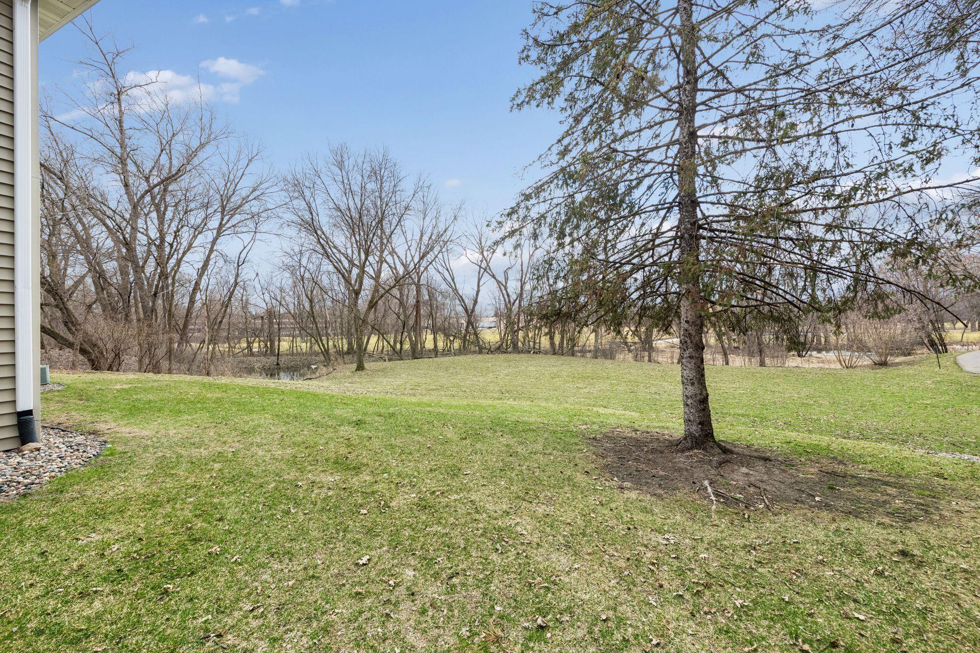 Amazing greenspace in the city! Tons of visiting wildlife