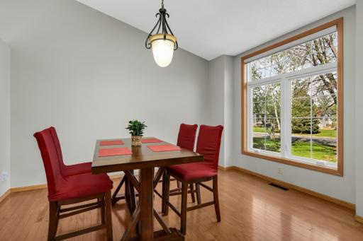 14524 Avocet Street NW, Andover, MN 55304