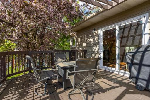 14524 Avocet Street NW, Andover, MN 55304