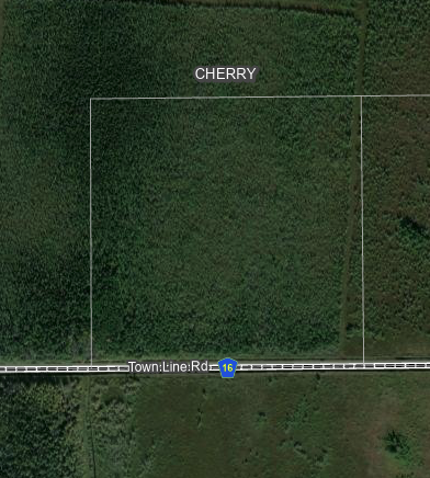 Screenshot 2026-03-13 at 12.29.12 PM.png