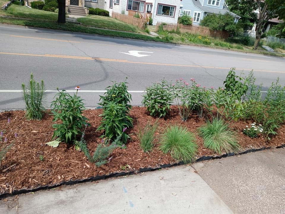 Butterfly and polinator garden on Avenue.jpg