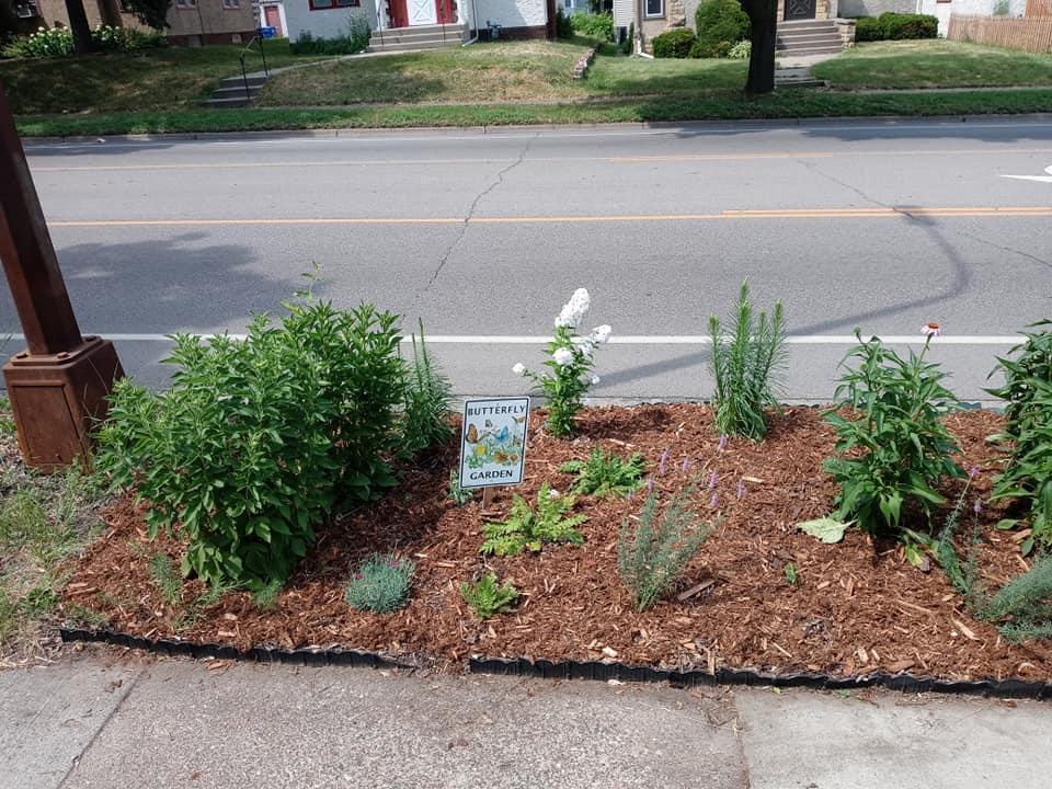 Butterfly garden on Avenue.jpg