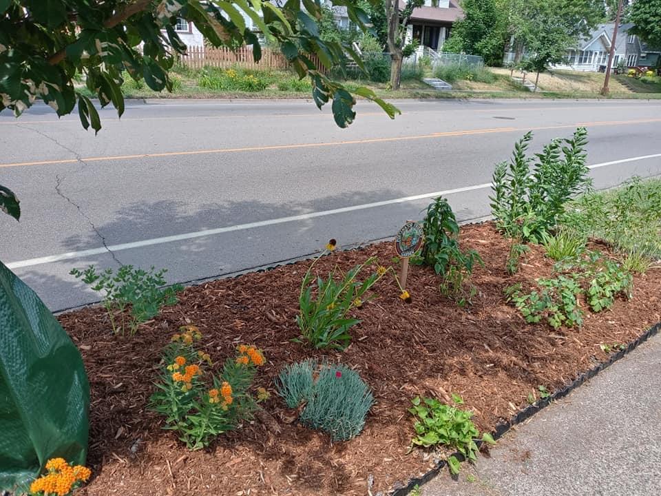 End of the polinator garden on Avenue.jpg