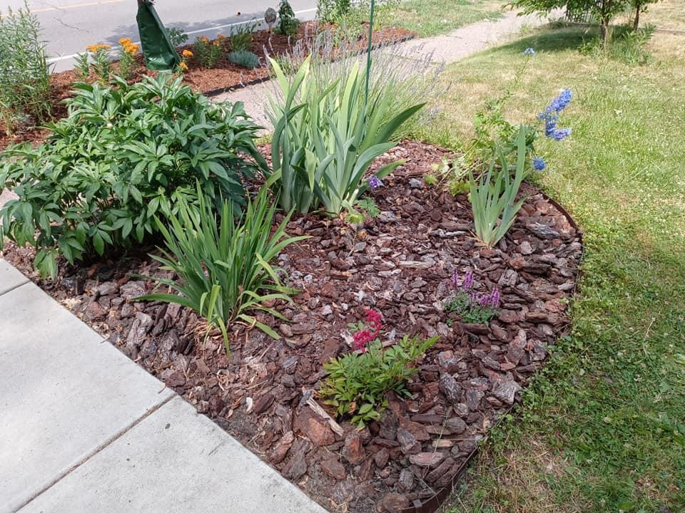 peonies and flowers out front walkway.jpg