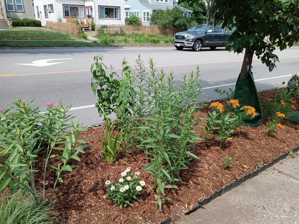 Polinator garden on Avenue.jpg