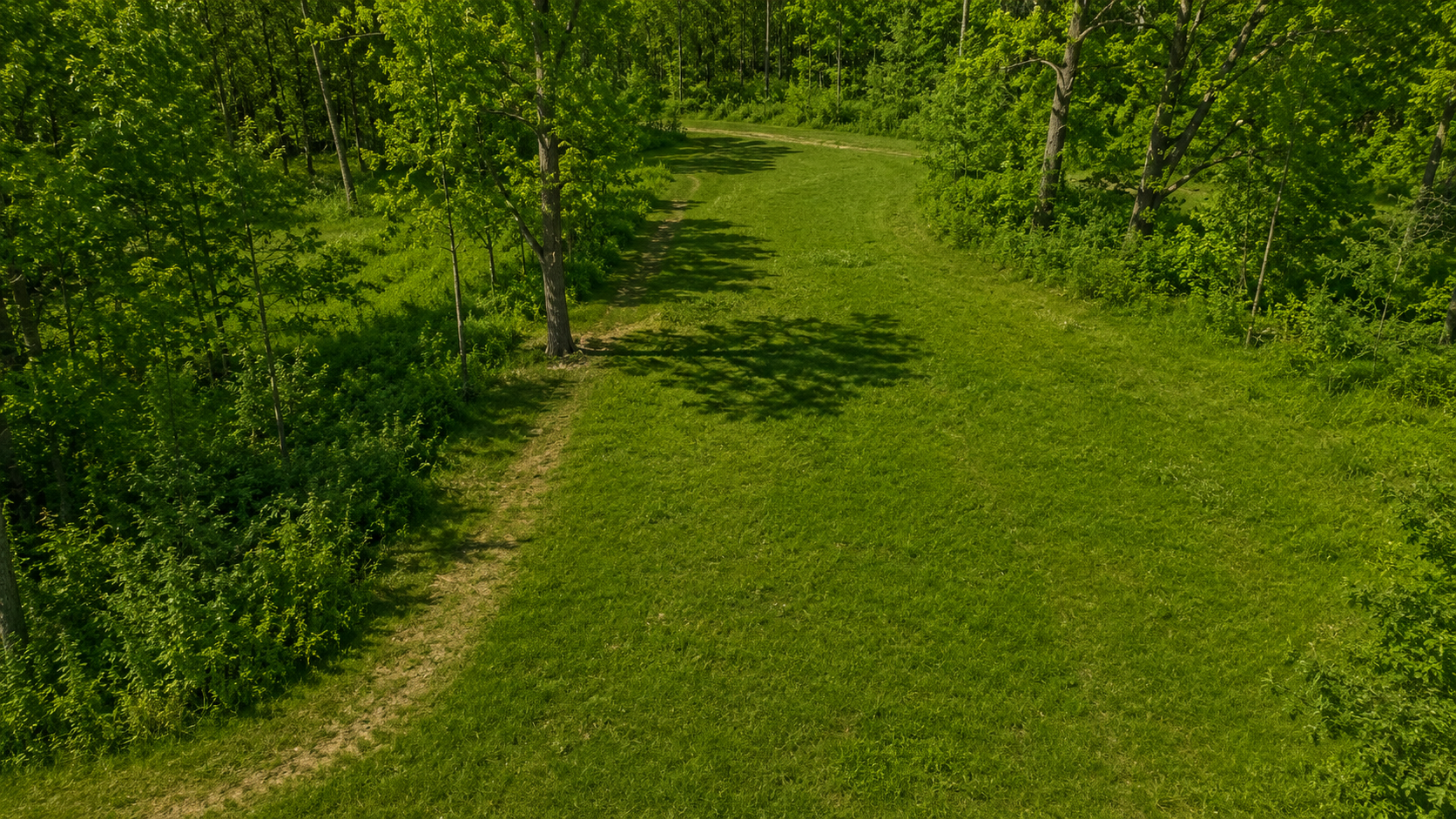 3b8604a3-b25d-4f16-b610-87c2e6a80484.png