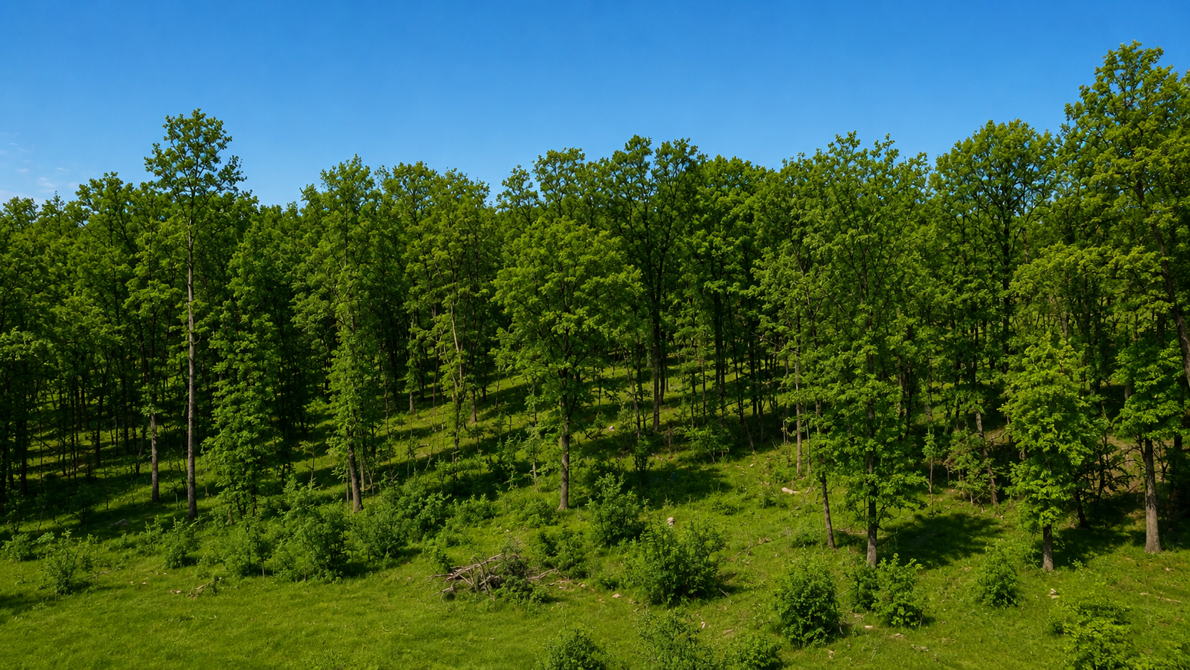 6e53dccd-0b60-43b3-b1df-5b81e827d89e.png