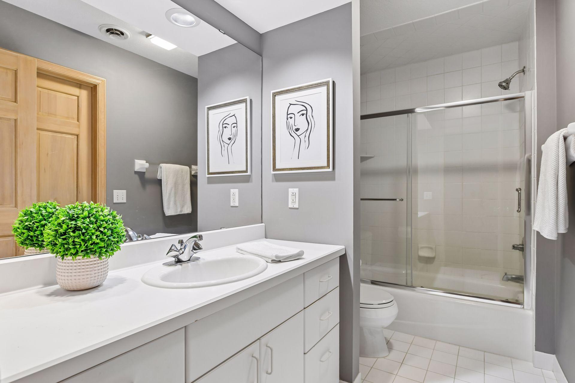 Full bathroom in Lower Level