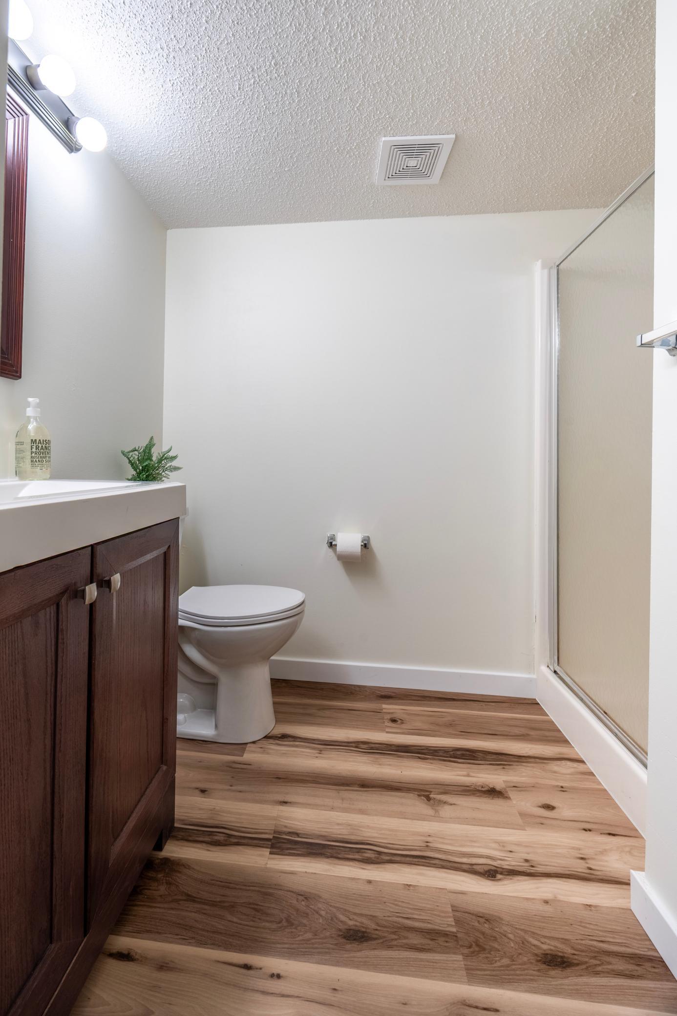 Lower Level with walk-in shower
