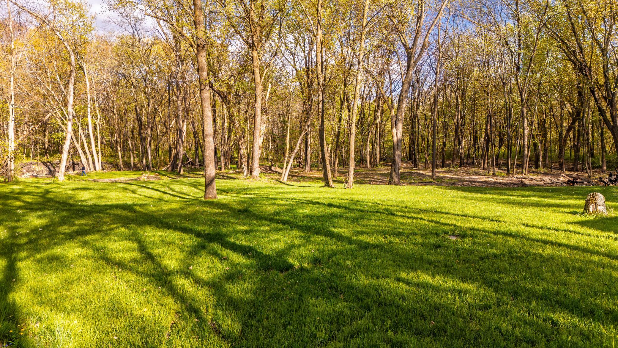 The woods are cleaned up on this property