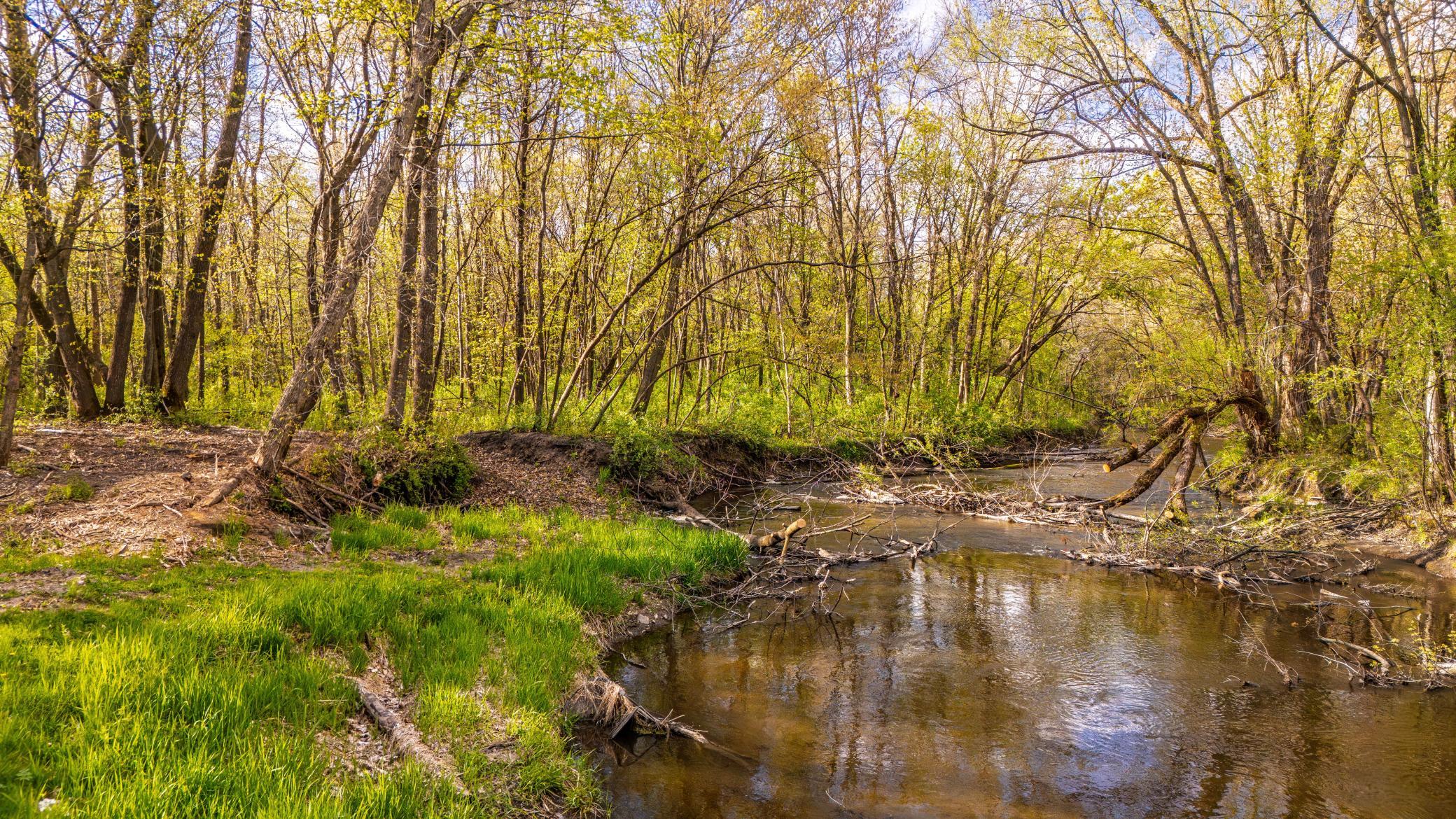 large creek that runs through back 3/4 of property. catch lots of fish.