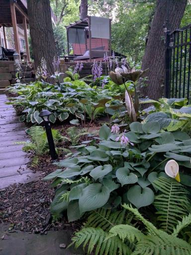 Thoughtfully landscaped- many beautiful EZ care perennials