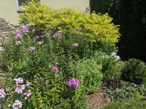 More perennials near front of home - very little grass to cut and maintain!