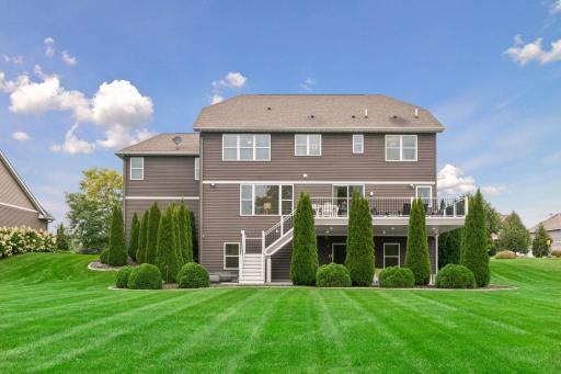 50+ evergreens surround home that are always green