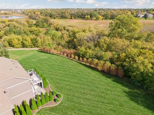 Half acre lot with 50 willow trees that turn fiery red