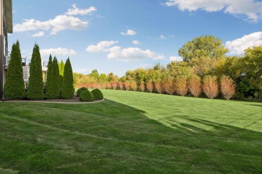 20 flame willows line the backyard that turn red in the winter