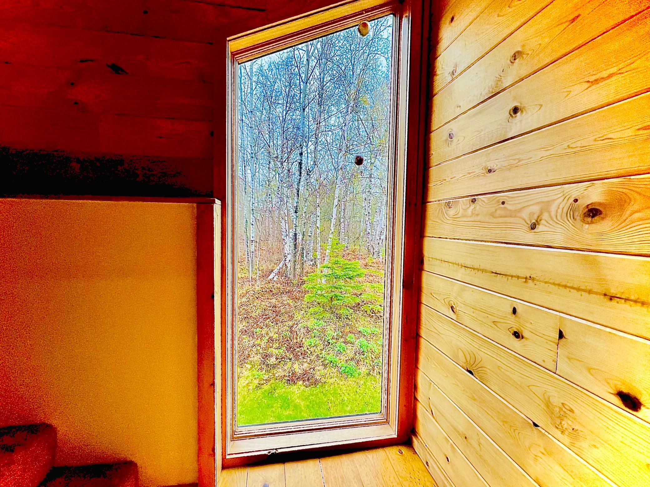 Tall Window.jpg