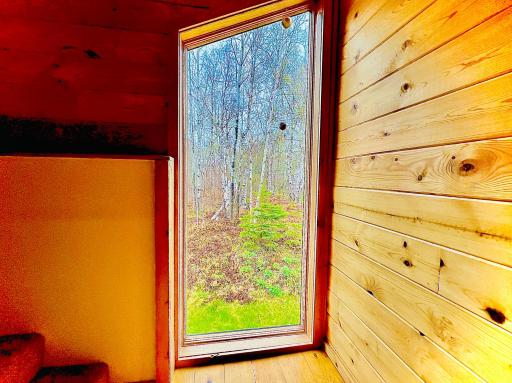 67 Snowshoe Trail, Tofte, MN 55615