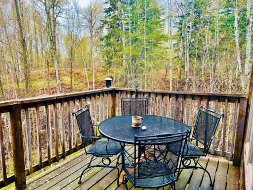 67 Snowshoe Trail, Tofte, MN 55615
