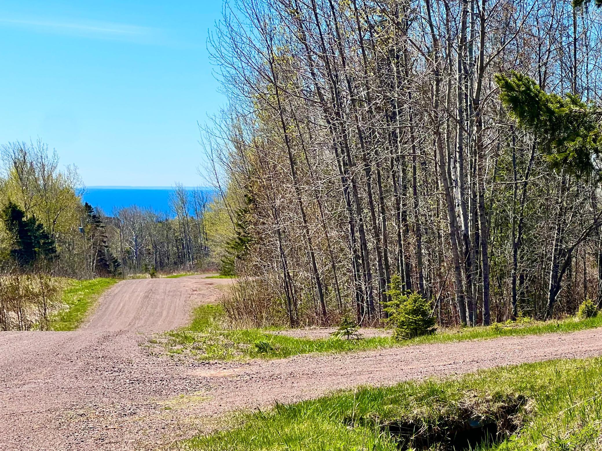 Lake Superior View.jpg