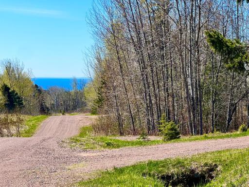 67 Snowshoe Trail, Tofte, MN 55615