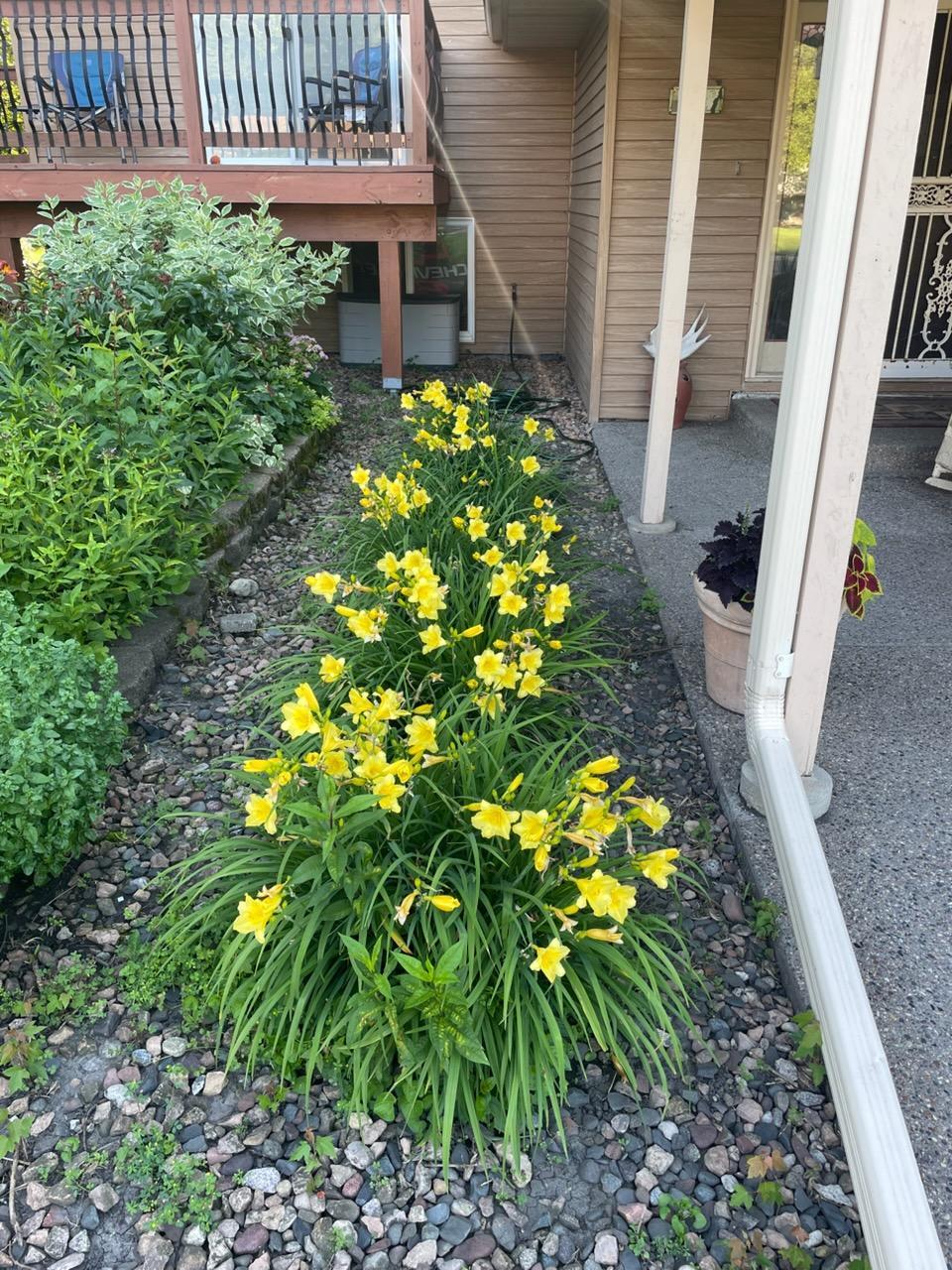 Pops of color- pic from homeowner