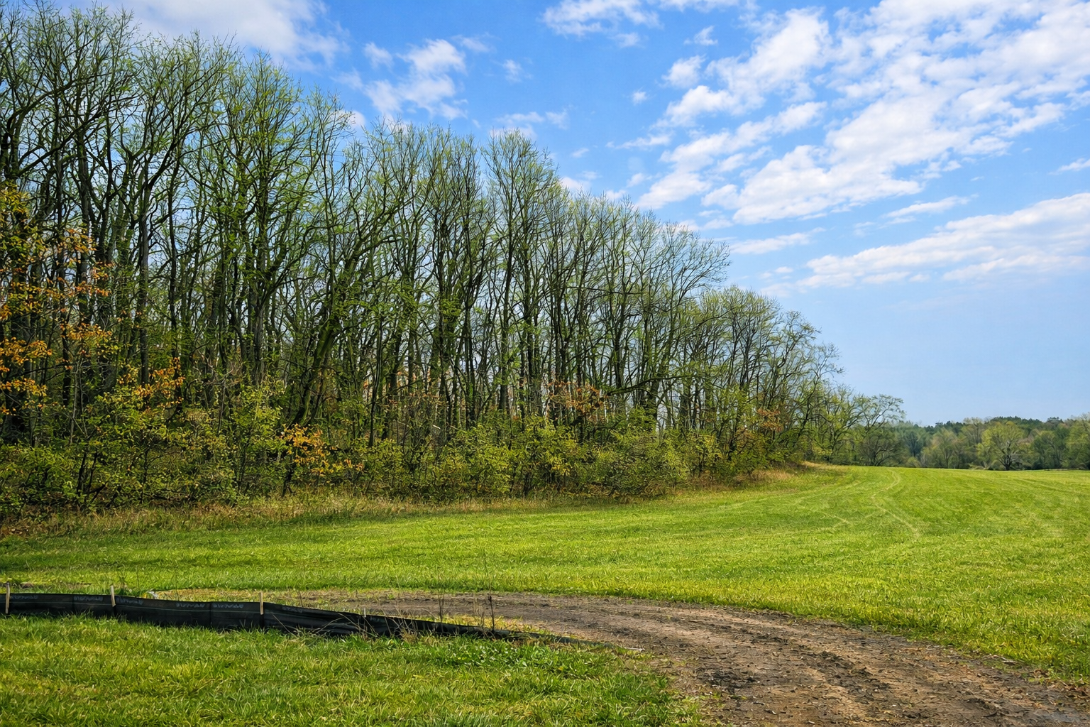 Lot 1 Credit River Image 1.png