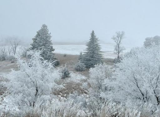 TBD Moore Street, Starbuck, MN 56381
