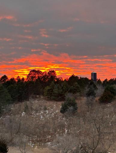 TBD Moore Street, Starbuck, MN 56381