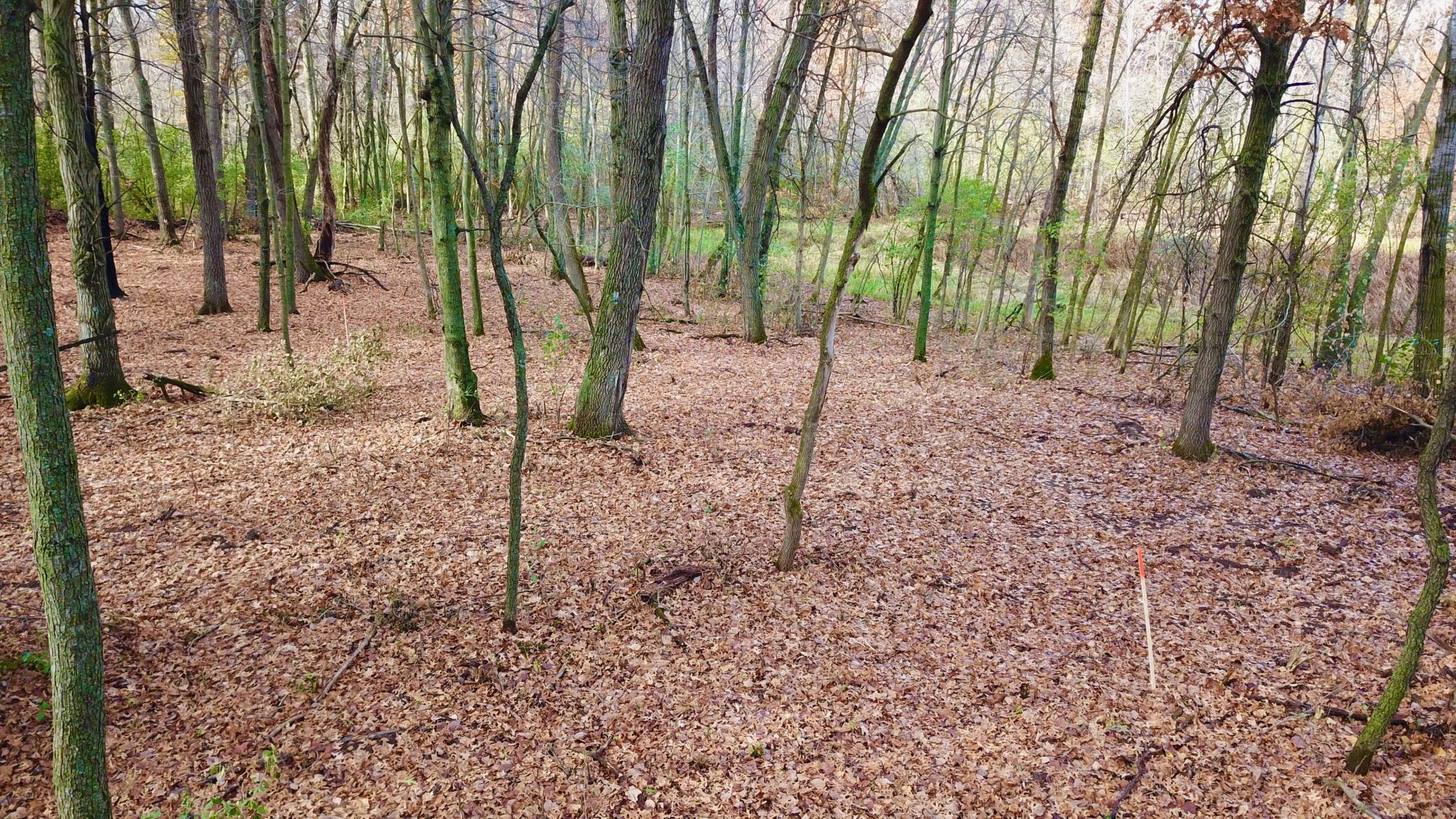 165th Ave (10 Acres) - 13