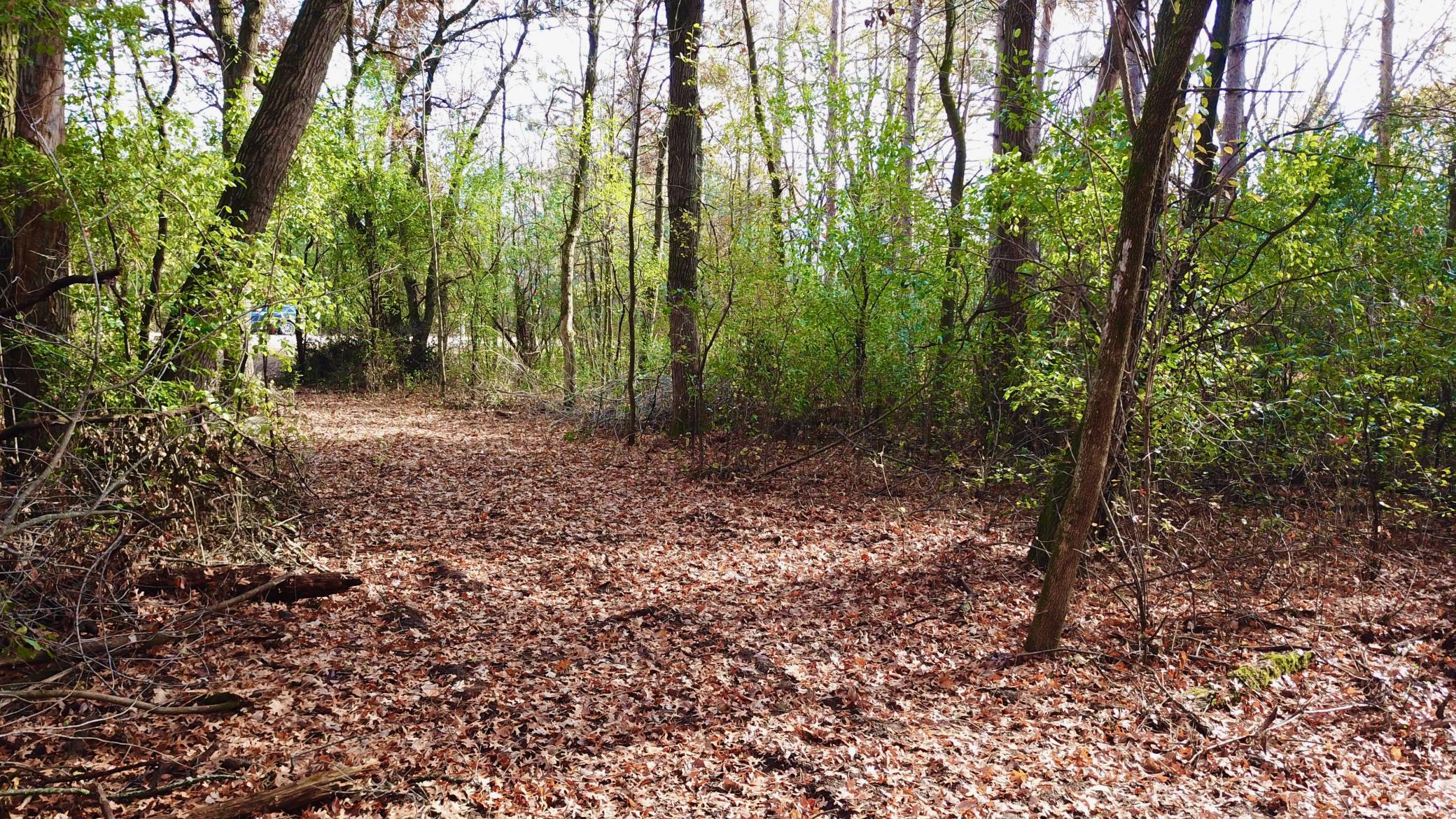 165th Ave (10 Acres) - 14