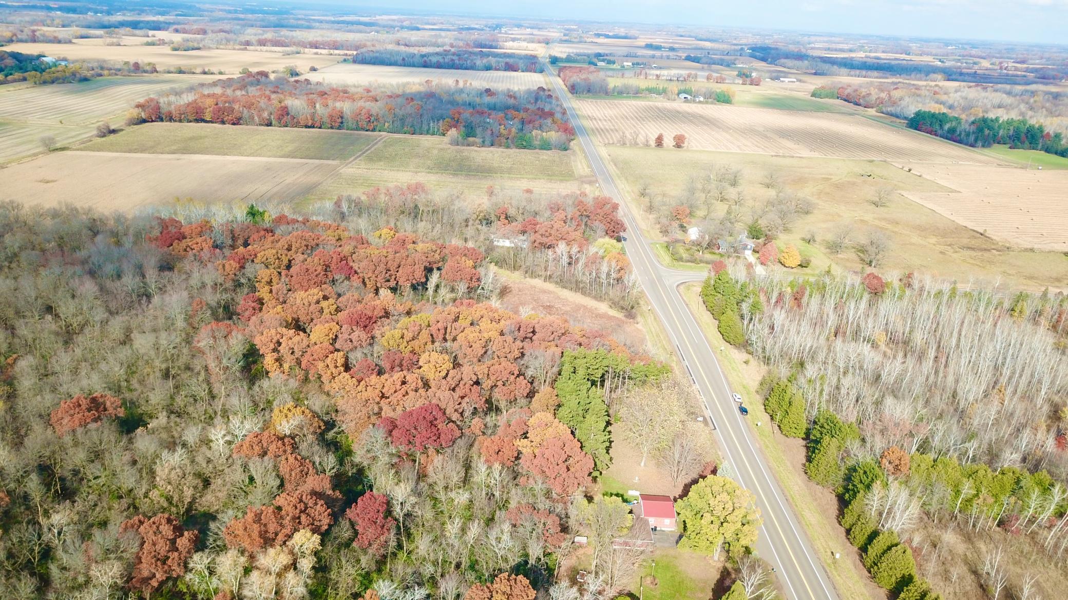 165th Ave (10 Acres) - 4