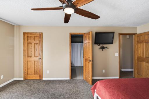 The primary bedroom has a very large walk-in closet and access to the hallway bathroom