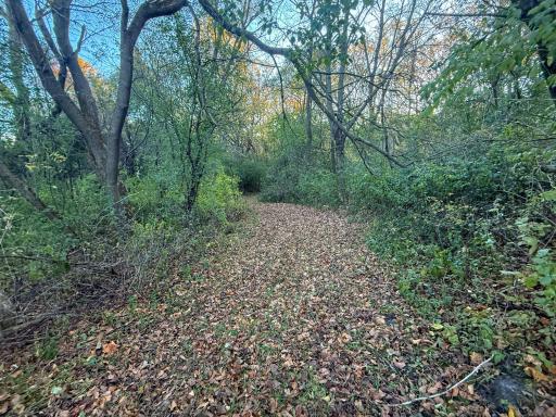6302 20th Avenue SE, Rochester, MN 55904