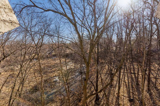 Tree-Top Views & Privacy from 3rd Floor