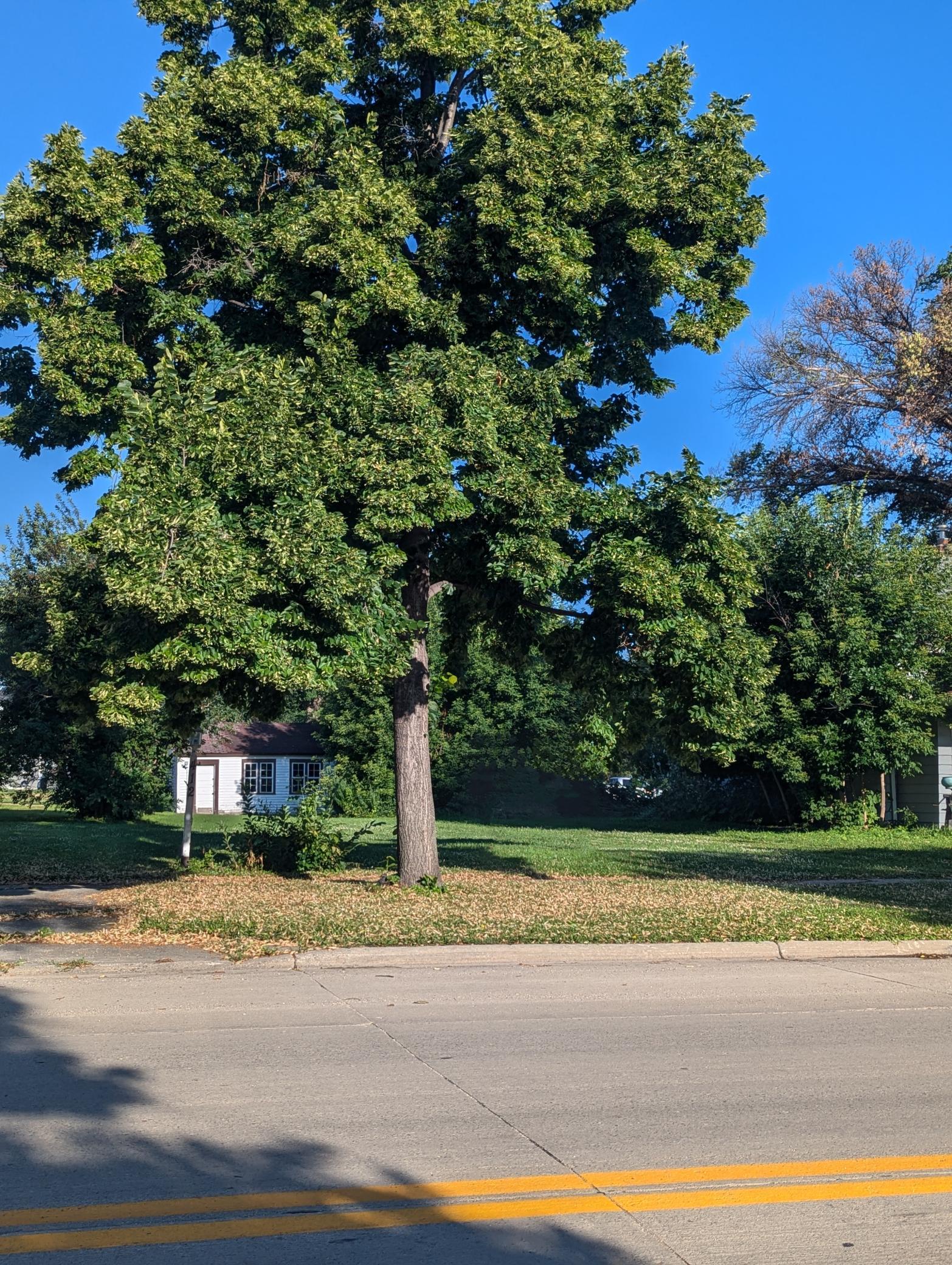 PXL_20240717_131410055~2.jpg