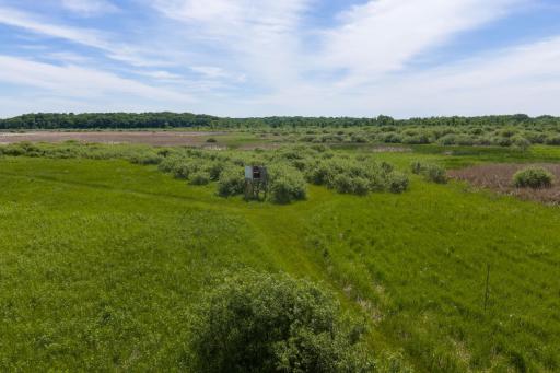 17168 263rd Avenue, Paynesville, MN 56362