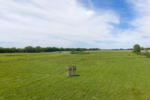 17168 263rd Avenue, Paynesville, MN 56362