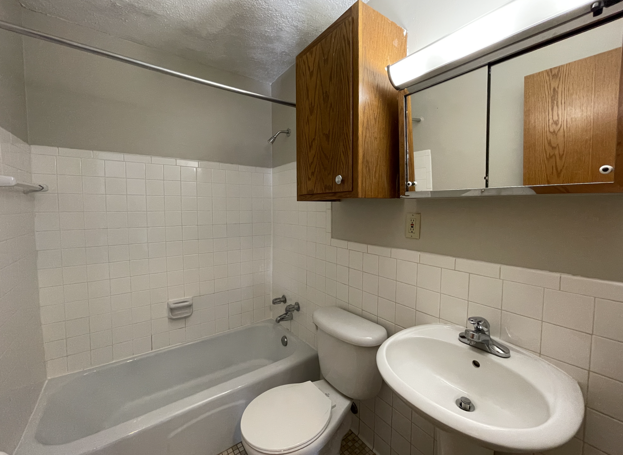 Screen Shot 2022-03-11 at 2.46.26 PM.png