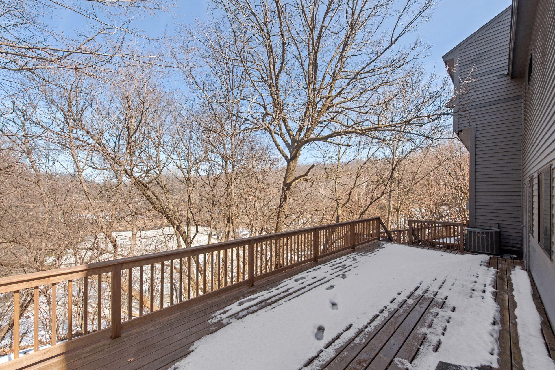 Beautiful mature trees in the backyard.