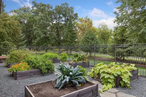 Tall Fencing around garden beds Keeps Critters out