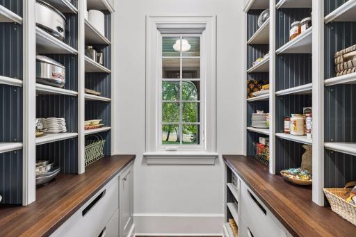 Kitchen Pantry