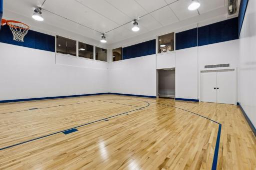 Sub Level Sport Court has large Storage Closet