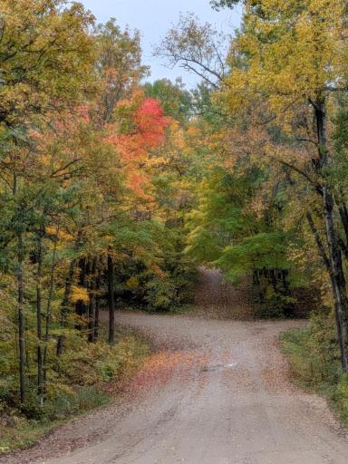 Imagine this every fall, for the rest of your life