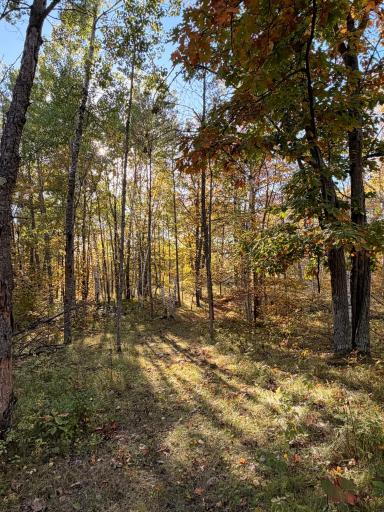 24281 Hazel Wood Drive, Park Rapids, MN 56470