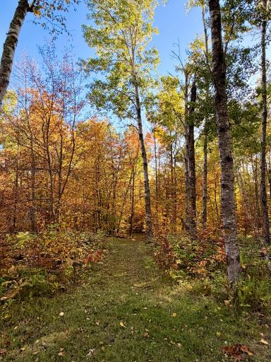 24281 Hazel Wood Drive, Park Rapids, MN 56470