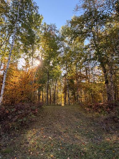 24281 Hazel Wood Drive, Park Rapids, MN 56470
