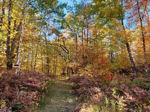 24281 Hazel Wood Drive, Park Rapids, MN 56470
